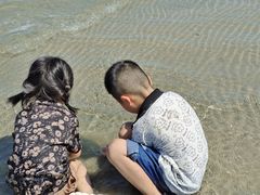 -盐洲岛