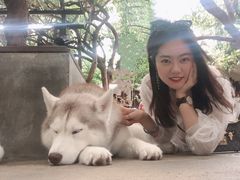 -TrueLove @ Neverland (Husky Cafe)