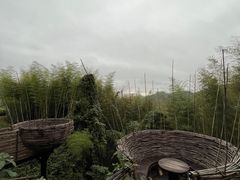 -泽雅景区