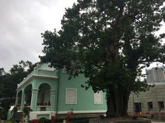 -龙环葡韵住宅式博物馆