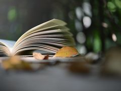 -鱼酷活鱼烤鱼(昆明路店)