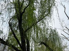 -渭滨公园