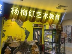-杨梅红艺术教育(深圳南山书城教学中心)