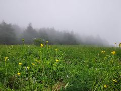 -白草畔自然风景区