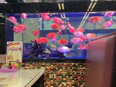 -新辉港式茶餐厅(北栅店)