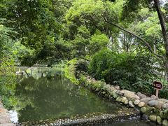 -成都市活水公园