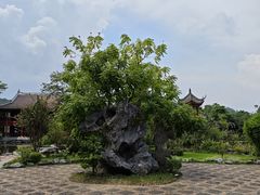 -顺峰山公园