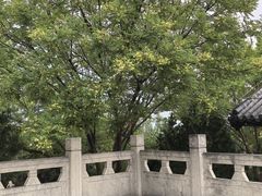 -天涯山