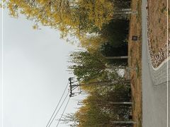 -水西公园