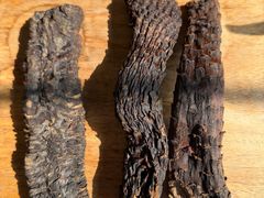 -荔湾博物馆