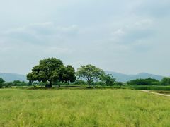 -良渚古城遗址公园