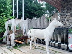 -花溪雨·森林餐厅(石基店)