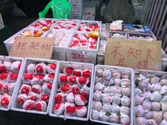 -双福水果批发市场