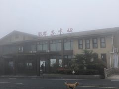 -江南天池