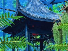 -东莞植物园