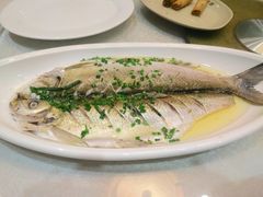 清蒸白鱼-大鸿运酒店·苏州菜·松鼠桂鱼(观前街店)