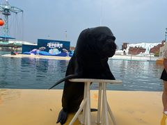 -秦皇岛乐岛海洋王国