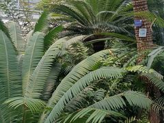 -国家植物园南园