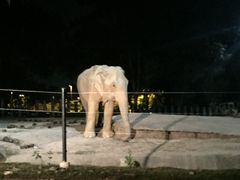 -清迈夜间动物园