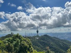 -梧桐山风景名胜区