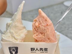 -野人先生现做冰淇淋(北京环宇荟店)