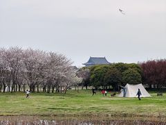 -阳澄湖半岛旅游度假区