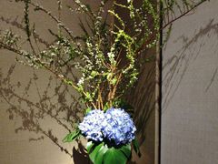 -许家菜.艺创菜(仁和新城店)