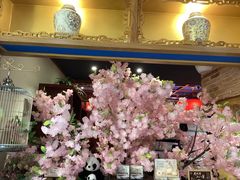 -小吊梨汤·北京菜·烤鸭(西直门凯德店)