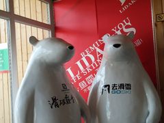 景点-多乐美地滑雪场