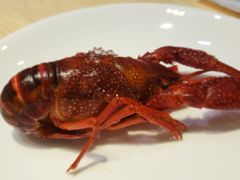 -怪怪龙虾·澳洲蓝龙王·深夜食堂(惊驾路店)