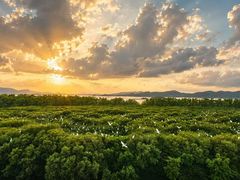 -盐洲岛