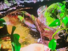 -嘉兴海底世界