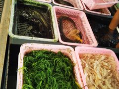 -南沙十九涌渔人码头-南门