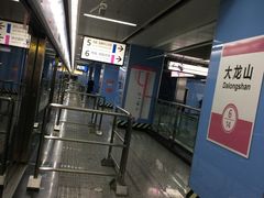 -大龙山(地铁站)