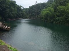 -祁门牯牛降观音堂风景区