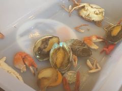 -仙螺岛海鲜自助餐厅(总店)