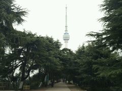 -龟山风景区-龟山电视塔