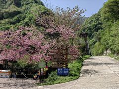 -西安祥峪森林公园