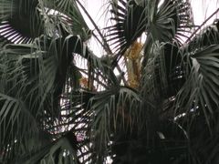 -圣约翰座堂
