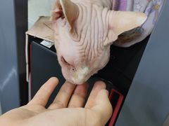 -方快—照相馆(七宝领展广场店)