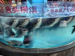 -魏铭鱼头捞饭(晋阳路店)