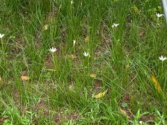 -福田红树林生态公园