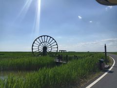 -东方华地城湿地温泉度假区