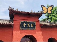 -洛阳白马寺