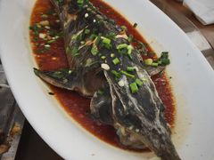 清蒸中华鲟-老磨油饼(高陵店)