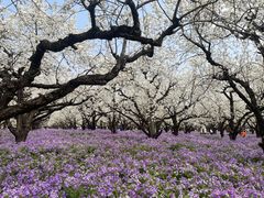 -江苏三台山国家森林公园