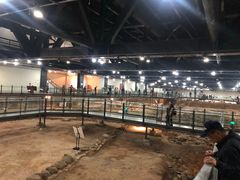 -南越王博物院(王宫展区)