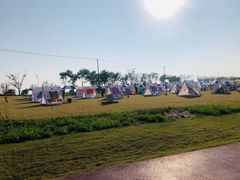 -春花秋色城市公园