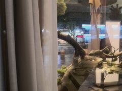 -七味·用心做好鱼(花桥店)