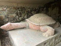 -上海佘山国家森林公园天马山园